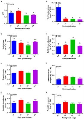 Soil bacterial community structure at different plant maturity stages in an annual grass–legume production system
